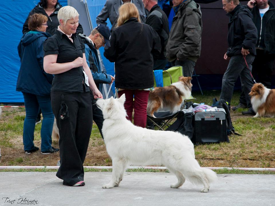 1012801_10151469903038837_774966469_n