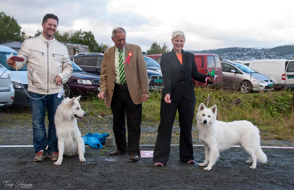 1235156_10151619869798837_2069630194_n