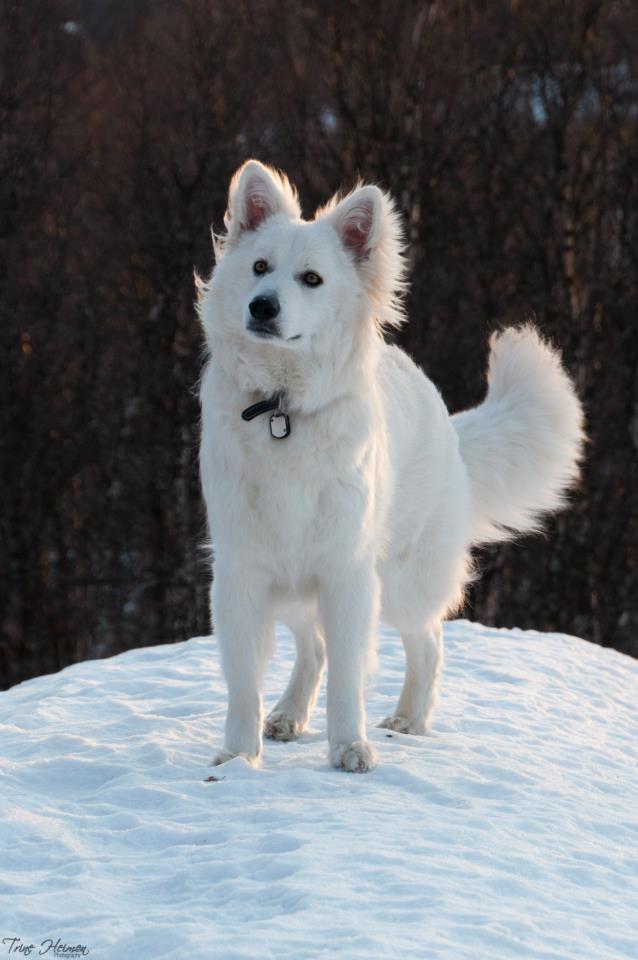 417580_10151313128218837_1712733243_n