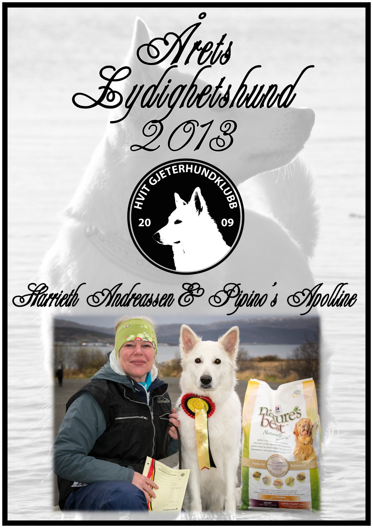 Årets lydighetshund