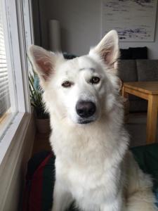 Nita med sykkelmerker