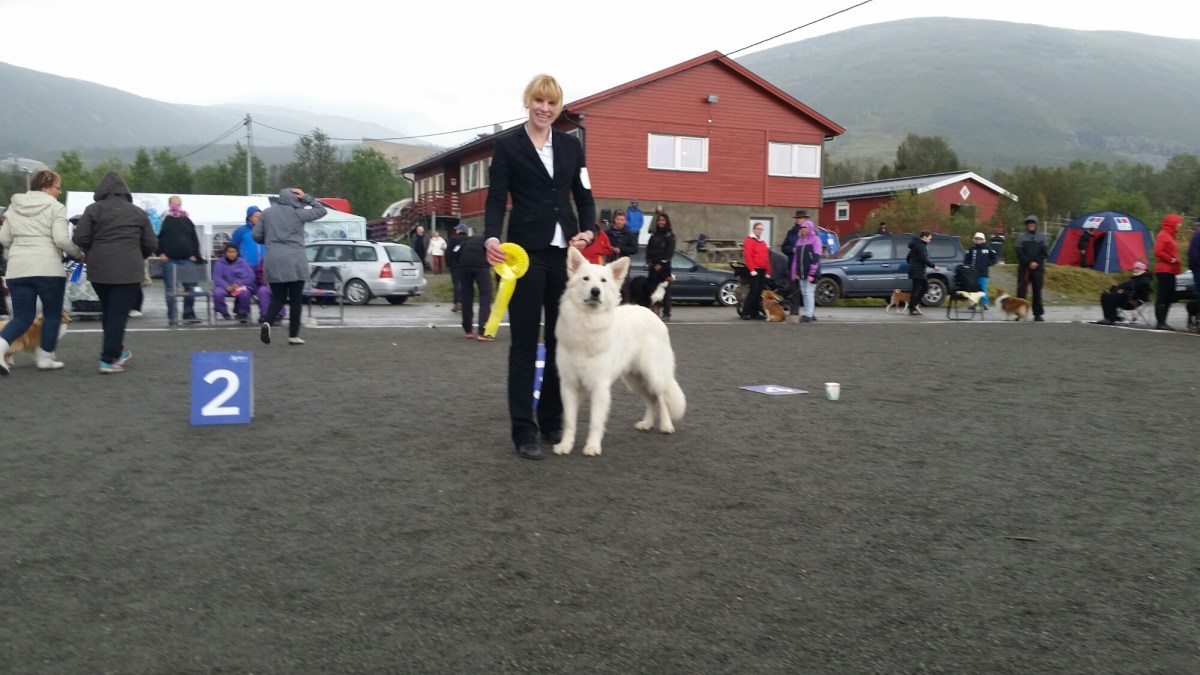 20140907_141327.jpg image