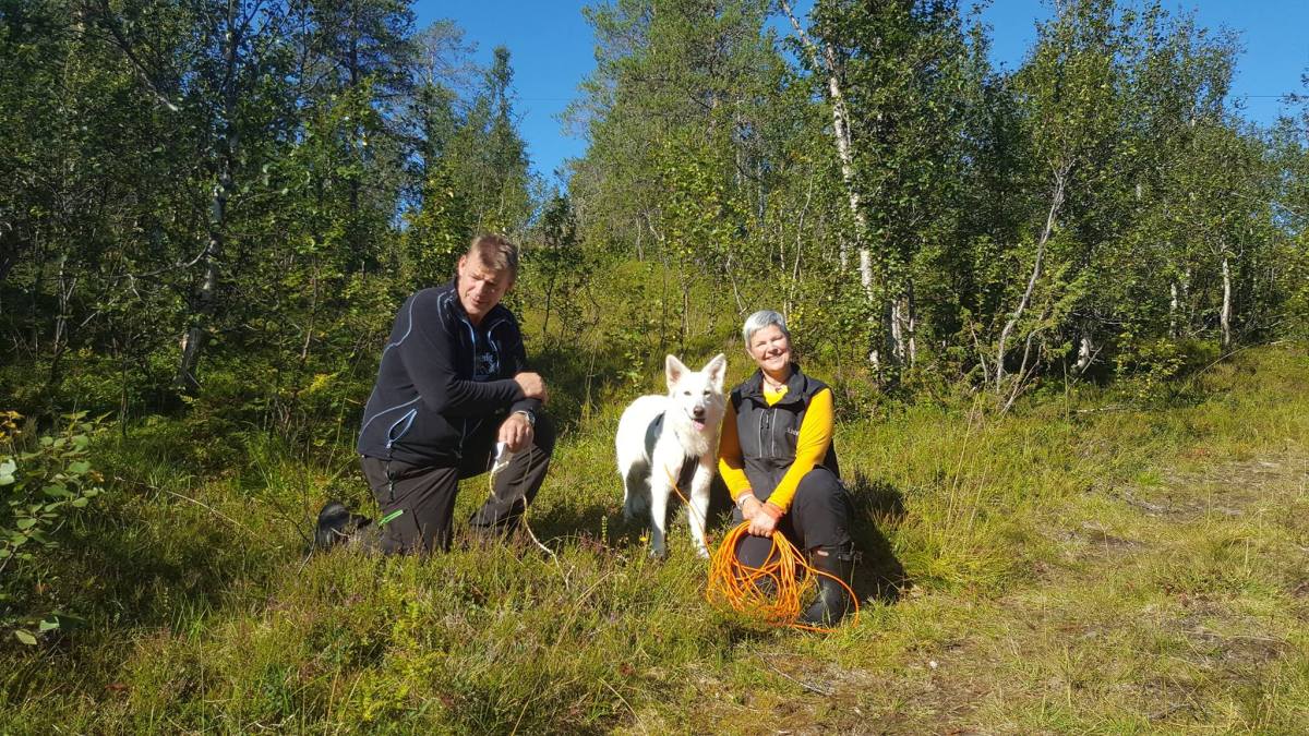 13988074_1262245717142165_7110075778186654609_o