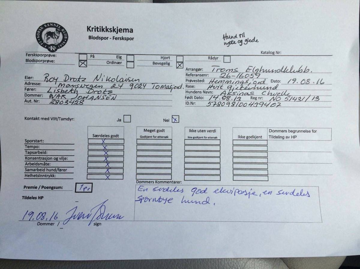 14068475_1262249133808490_5606537065883228554_o